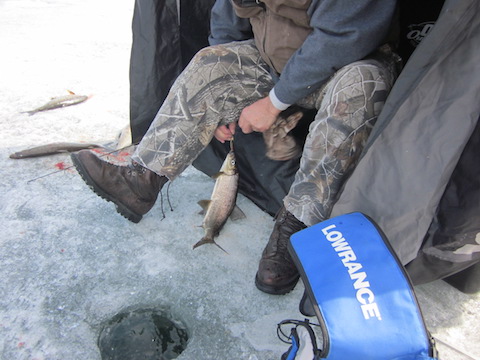 Doug with fish